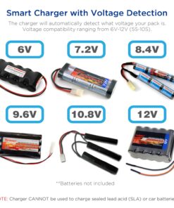 Tenergy Universal RC Battery Charger for NiMH/NiCd 6V-12V Battery Packs, 2A Charger for RC Car, Airsoft Batteries, Compatible with Standard Size Tamiya/Mini Tamiya/Alligator Clips Connectors 01025 11 81cpy8voF L