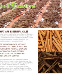 Healing Solutions 30ml Oils - Cassia Cinnamon Essential Oil - 1 Fluid Ounce Cinnamon Cassia 6 81cq3UlYEpL