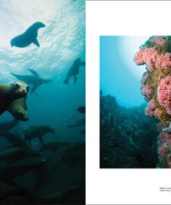 Alternative view of The National Parks: An American Legacy