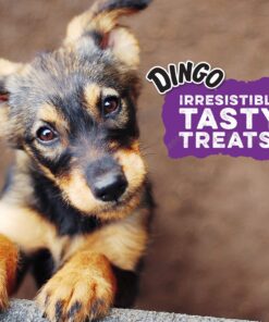 Dingo P-25002 Mini Bones, Rawhide For Small/Toy Dogs,White, 35-Count, Chicken, 0.8 pounds 11 81ctK2c5wwL 1