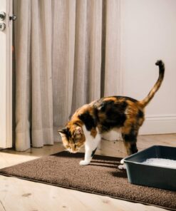 Smiling Paws Pets - Extra Large Cat Litter Mat - Pet Rug - Catches Litter That Spills Outside Litter Box - Easy to Clean - Non-Slip - Litter Box Mat - Kitty Litter Catcher - Brown L Size (35" x 23.5”) 1 Count (Pack of 1) 27 81cuKvOu3gL