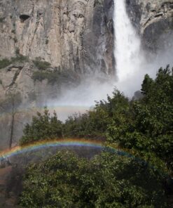 Ruggard RC-P18 Rain Cover for DSLR with Lens up to 18 (Pack of 2) 17 81cuarCulAL