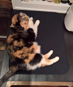 Envision Home Dish Drying Mat for Kitchen, Absorbent, Reversible Microfiber Dish Mat, 18 Inch x 24 Inch, Black 432801 X-Large 26 81cvNMZ1xhL