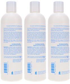 Vanicream Shampoo For Sensitive Skin 12 OZ (Pack of 3) 12 Fl Oz (Pack of 3) 11 81cvphnHomL