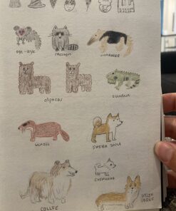 How to Draw Almost Everything: An Illustrated Sourcebook 10 81cwxdhgjAL