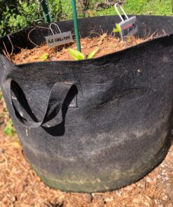 VIVOSUN 5-Pack 10 Gallon Plant Grow Bags, Heavy Duty Thickened Nonwoven Fabric Pots with Handles Black 10 Gallons 39 81cxNMS4reL