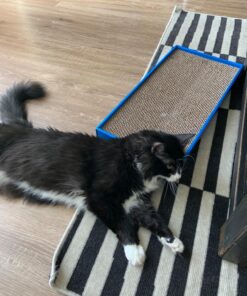 Catit Cat Scratcher, Wide Cat Board 33 81cyew0YhQL