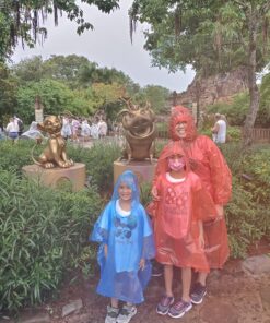 Lingito Rain Ponchos Family Pack - Emergency Drawstring Hood Poncho for Children & Adults Lightweight Reusable or Disposable Family - (4) Adult + (4) Children Multicolor 26 81d5T3qP1qL 1