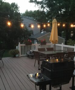 Feit Electric 72041 30 Foot Heavy-Duty Weather Resistant Decorative Indoor and Outdoor 10 Sockets Incandescent String Lights, 30', 11W, Dimmable,Black 30 ft (Pack of 1) 25 81d6jU vnL