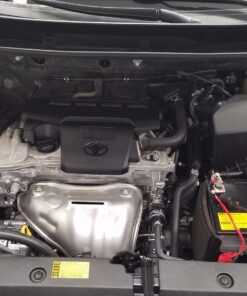 Gunk CEB1 Engine Shine Protector and Detailer, 15 Oz 15 Ounce 23 81d8ceB7NmL