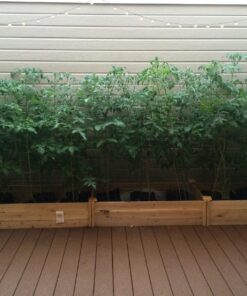 Greenes Fence 2 Ft. X 8 Ft. X 10.5 In Raised Garden Kit, Cedar 36 81d8rkxEyPL