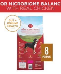 Purina ONE Chicken and Rice Formula Dry Dog Food - 8 lb. Bag Dry Food Chicken & Rice 8 Pound (Pack of 1) 31 81d9EQ9CcL