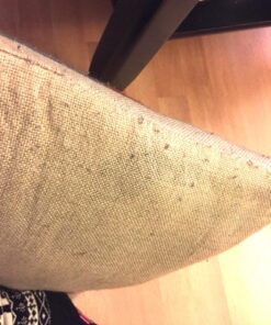 Evercare Fabric Shaver, Large,White 51 81dAKplIABL 1