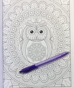 Groovy Owls Coloring Book (Coloring is Fun) (Design Originals) 32 Adorable Art Activities with Quiet, Stoic, Wise, and Happy Owls, plus Beginner-Friendly Advice, Techniques, Color Choices, & Examples Paperback, Coloring Book 48 81dBA7HECPL