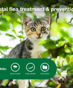 Advantage II Kitten Vet-Recommended Flea Treatment & Prevention | Cats 2-5 lbs. | 2-Month Supply 23 81dBKvAnxSL