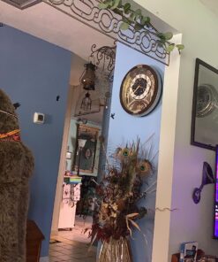 Newhouse Lighting WLG1B Ca Metal Guard for Ceiling Fan, Pendant String Light and Vintage Lamp Shades/Cover, Industrial Wire Fixture Iron Bird Cage, 1 Count (Pack of 1), Black 1 Count (Pack of 1) 30 81dDmO3L1BL