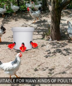 sansheng 24Pack Chicken Waterer Cups,Poultry Water Cups,Automatic Poultry Waterer for DIY Poultry Quail Duck Chicken Bird Drinker 24 28 81dF9YzA7JL