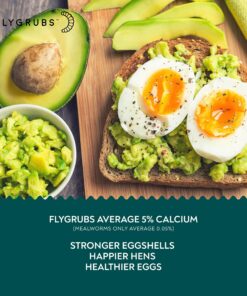 FLYGRUBS Superior to Dried Mealworms for Chickens (1lb) - 85X More Calcium Than Live mealworms - Non-GMO Chicken Feed - BSFL Treats for Hens, Ducks, Turkeys, Wild Birds, Turtles, Quails 1 Pound 18 81dFilxKlWL