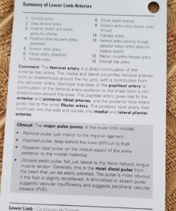 Netter's Anatomy Flash Cards (Netter Basic Science) 39 81dISTt7L