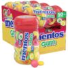 Mentos Sugar-Free Chewing Gum, Tropical, Red Fruit and Lime, Bulk, 50 Piece Bottle (Pack of 6) Tropical/ Redfruit & Lime 50 Count (Pack of 6) 4 81dKHLbSH L