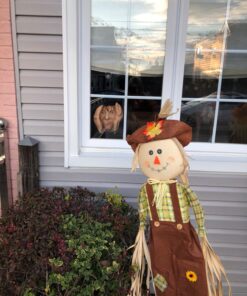 Scary Peeper Freak Halloween Decoration Peeping Tom, Indoor and Outdoor Window Hanging Mask for Spooky House Party Scares, Tricks, and Laughs, Novelty Décor 24 81dNF9Bb4KL