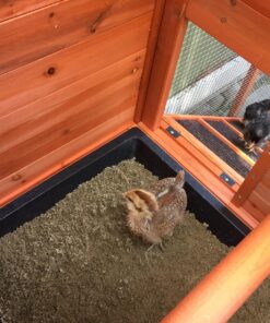 TRIXIE Pet Products Chicken Coop with Outdoor Run, 66.75 x 30.25 x 41.25 inches 66.8"L x 30.3"W x 41.3"H 48 81dPdTewDaL