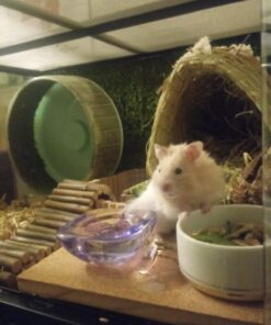 Small Pet Select Premium Small Animal Bedding, Natural Soft Paper Bedding for Small Indoor and Outdoor Pets, Made in USA, Jumbo Size 178 L Pack 41 81dPmdFS2XL