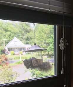 Perky-Pet 312-1SR Outdoor Panorama Wild Bird Feeder - 2 Lb Seed Capacity Brown 38 81dQXls3EL