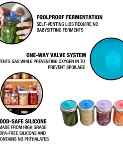 Masontops Pickle Pipes - Airlock Fermentation Lids - Fermentation Kit for Small Mouth Mason Jar Sauerkraut & Pickle Kit - Fermentation Jar Not Included Small Mouth 4PK 13 81dR4jYShCL
