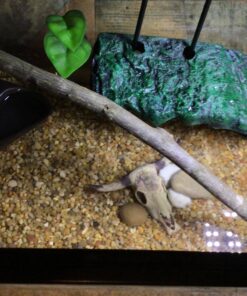 Spectrastone Shallow Creek Regular for Freshwater Aquariums, 5-Pound Bag 34 81dU8i4fL