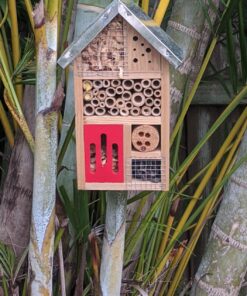 Niteangel Natural Wooden Insect Hotel, Garden Insect House for Ladybugs, lacewings, Butterfly, Bee, Bug 10 x 6 x 3.4 inch Red 35 81dUbzxUOPL