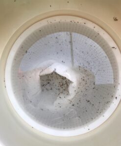 IMPRESA 10-Pack of Pool Skimmer Socks - Excellent Savers for Filters, Baskets, and Skimmers - The Ideal Sock/Net/Saver to Protect Your Inground or Above Ground Pool 28 81dV2ktHjqL