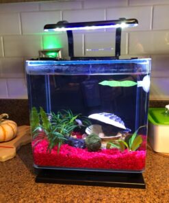 MarineLand Contour Glass Aquarium Kit with Rail Light 3-gallon 50 81dXVHsi33L