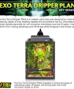 Exo Terra Dripper Plant, Large Standard Packaging 22 81dXhasXXSL