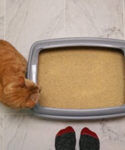 World's Best Cat Litter, Clumping Litter Formula for Multiple Cats, 28-Pounds 25 81dXrE7vfIL