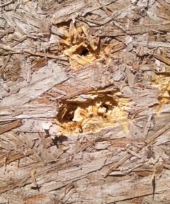 Crosman Vigilante 357 Co2 Air Pistol Kit with Holster and 3-Pack of Magazines 60 81daNM5Tj9L