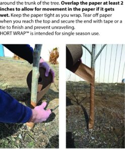HORT Paper Tree Wrap 3" x 50' roll, Commercial Grade 7 81dbhz2WK6L