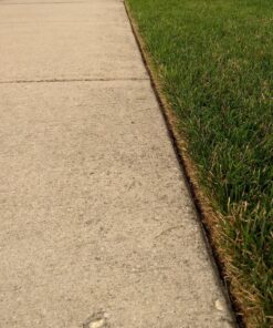 BLACK+DECKER EB-007 Edge Hog Heavy-Duty Edger Replacement Blade black 22 81dbsv0LlL