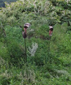 GhostBlind 4-Panel Predator Blind, Silver 33 81ddXsOl9AL