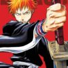 Bleach (3-in-1 Edition), Vol. 1: Includes vols. 1, 2 & 3 (1) 28 81dfhgbb2qL 2