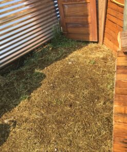 Hydro Mousse Liquid Lawn System - Grow Grass Where You Spray It - Made in USA High Performance Grass Blend 27 81dfmAm2EL