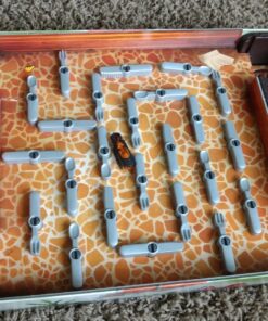 Bugs in the Kitchen - Children's Board Game, Standard, 6 - 15 years Bugs in the Kitchen 39 81dgGj5cEAL