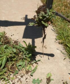 Yard Butler Rocket Weeder dandelion extractor handheld weed removal tool for pulling weeds by the roots from your lawn - RKT-1000 19 81dir6DIarL