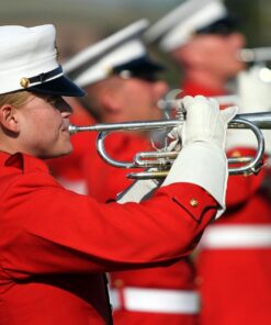 Hamilton Stands Accordion Accessory (KB950) Black 16 81djG1NC47L