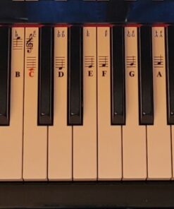 QMG Piano Stickers for 49/61/ 76/88 Key Keyboards – Transparent and Removable; Made in USA Sticker 32 81dkWmf9sEL