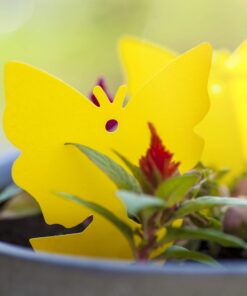 Trappify Sticky Gnat Traps for House Indoor - Yellow Fruit Fly Traps for Indoors/Outdoor Plant - Insect Catcher White Flies, Mosquitos, Fungus Gnat Trap, Flying Insects - Disposable Glue Trapper (12) 12 37 81dkbLPLRdL 1