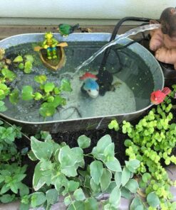 EcoPlus Eco 185 Water Pump Fixed Flow Submersible Or Inline For Aquariums, Ponds, Fountains & Hydroponics - UL Listed, 158 GPH, Black 15 81dlEMQrPEL