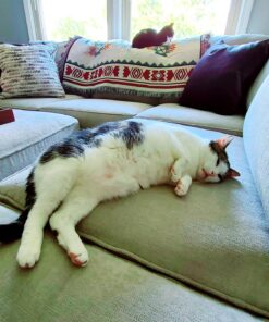 PHNAM Throw Blanket with Fringe for Couch Bed Soft Decorative Cozy Woven Knit Warm Bed Throws Reversible for Chair, Sofa, Living Room, Bedroom (51x63 inches)(B) 23 81dmz XJmsL