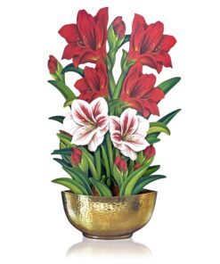 Freshcut Paper Pop Up Cards, Scarlet Amaryllis, 16 inch Life Sized Forever Flower Bouquet 3D Popup Christmas, Winter, Holiday Greeting Cards with Note Card and Envelope - Christmas Decorations 16 81doGD2zjXL