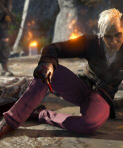 Far Cry 4 - PlayStation 3 Standard 19 81drQQmIdwL